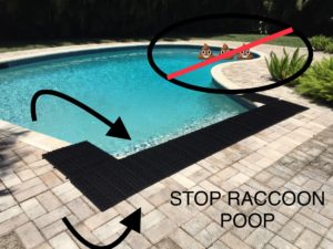 Stop Raccoon Poop